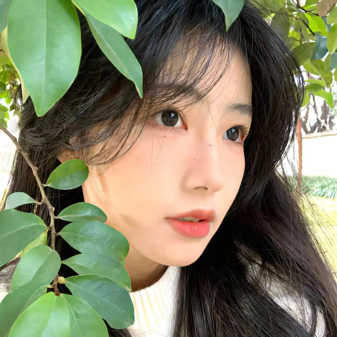 美丽新世界